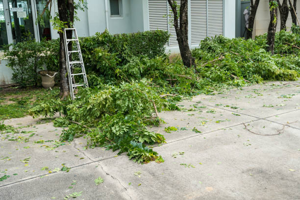 Best Hazardous Tree Removal  in Energy, IL