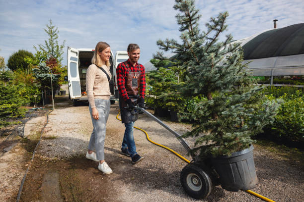 Best Seasonal Cleanup (Spring/Fall)  in Energy, IL